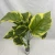 Import Various styles 12 heads 65cm artificial outdoor plants Taro leaf bush banana leaves for green wall decoration UV protection from China