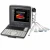 Import Vascular ultrasound elastography laptop machine portable color doppler from China