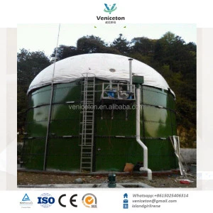 Veniceton Organic anaerobic digestion biogas power plant for bio gas digester