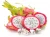 Import Vietnam dragon fruit - 100% fresh dragon fruit 2020 from Vietnam