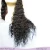 Import Virgin Vietnamese wave curly human hair natural scalp lace wig from China