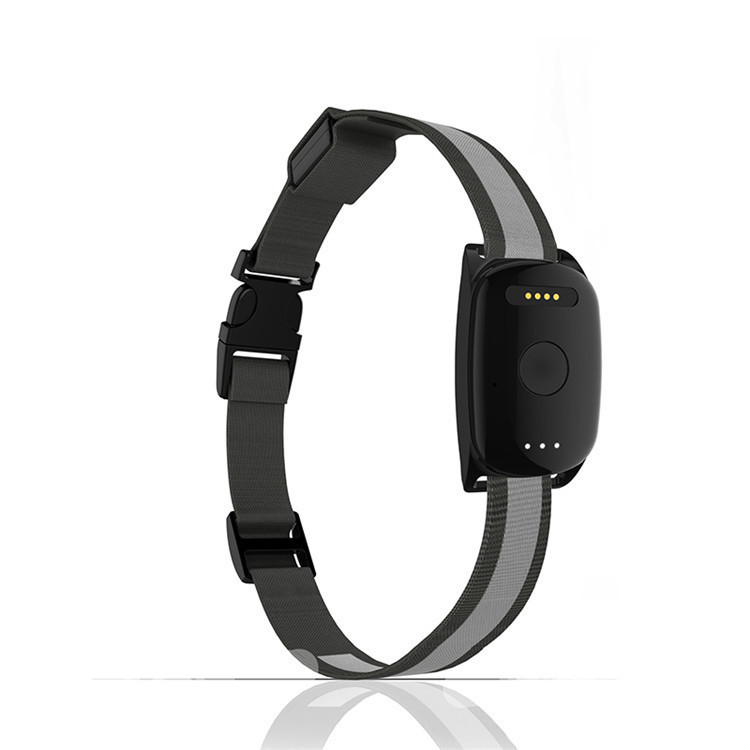 Buy Waterproof Pets Gps Tracker Gps Tracking Chip For Dog Animal Gps