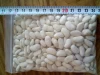 White Beans - Turkey Origin - Turkish Quality - Kidney, Dermason, Chali, Cumra, Long Shape, Round Shape