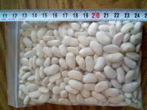 White Beans - Turkey Origin - Turkish Quality - Kidney, Dermason, Chali, Cumra, Long Shape, Round Shape