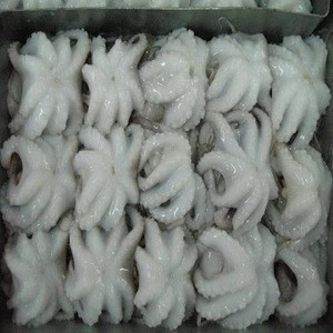 Whole Cleaned Frozen Baby Octopus best quality and reasonable price