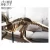 Import Wholesale Craft Supplies Dinosaur Skeleton Handmade Wooden Resin Art Gift Craft from China