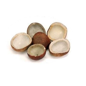 WHOLESALE DRIED COCONUT COPRA FRUIT PRODUCTS DRIED FRUIT