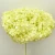 Import Wholesale Flower Material Size 70cm Preserved Flower Single Anna Hydrangea With Long Stem for Decoration from China