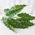 Import wholesale high quality big decoration foliage bay palm fiddle wall decor hanging fairy leaf artificial plant from China