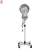 Import wholesale High Quality salon hair equipment professional hair steamer from China