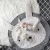 Import Wholesale Kids Nap Mat Children Cushion Mat Rabbit Room Decoration Baby Toy Play Mat from China
