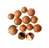 Wholesale Macadamia Nuts sourced from family farms in the USA
