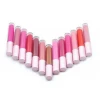 Wholesale Matte Waterproof Lip Gloss Nude 66 Colors Custom Liquid Lipstick Frosted Brand Tube Lipgloss