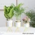 Import Wholesale simply Indoor Cylinder Ceramic Succulent pots planter with golden metal stand, Ceramic Cactus Planter Pot from China