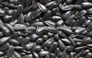 Wholesale Sunflower Seeds From India