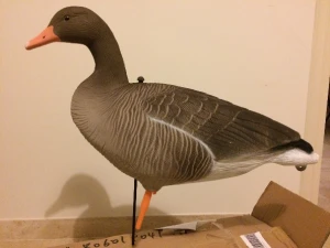 Wholesale wild plastic greylag goose decoy for Hunting