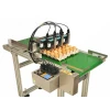 Widely Used Egg Printer Cartridge / Egg Grader With Printer / 6 Nozzle Inkjet Egg Printer With Conveyor Belt