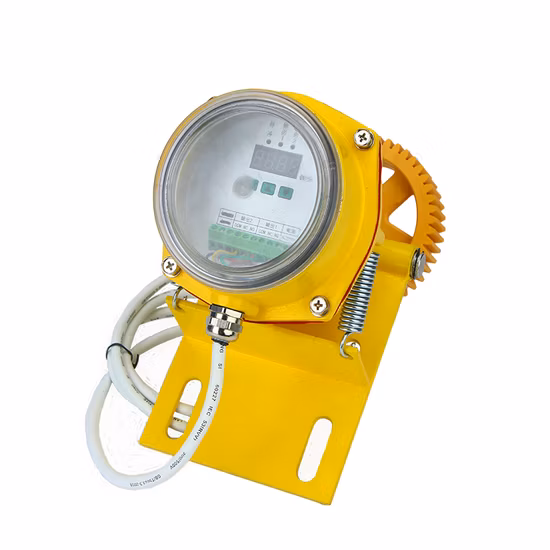 Wks-Dh Belt Conveyor Slip Protection Switch Intelligent Digital Display Slip Switch