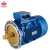Import Y2/Y3 Highly Efficient Induction Electric AC Motor from China