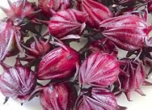 RED HIBISCUS ARTICHOKE FLOWERS TOP PRODUCT