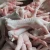 Import Halal Processed Grade A Frozen Chicken Feet & Paws from Norway