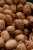 Import Walnuts from South Africa