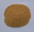 Import Millets from India