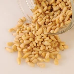 Premium Pine Nuts Bulk Sale Fresh Natural Pine Nuts Rich In Protein And Healthy Fats For Food Industry And Snacks