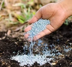 Granular NPK 10-26-26 Fertilizer Root Development Flowering, Suitable for All Soil Types Eco Friendly Formula For Plant