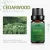 Import Compound Organic Cedarwood Essential Oil MSDS 100 Pure Cedar Oil Massage from China