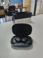 Intelligent Translation Earbuds
