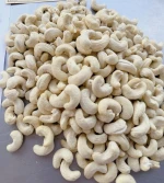 Best price Raw Cashew Nuts for sale