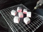 Coconut Shell Charcoal Briquettes