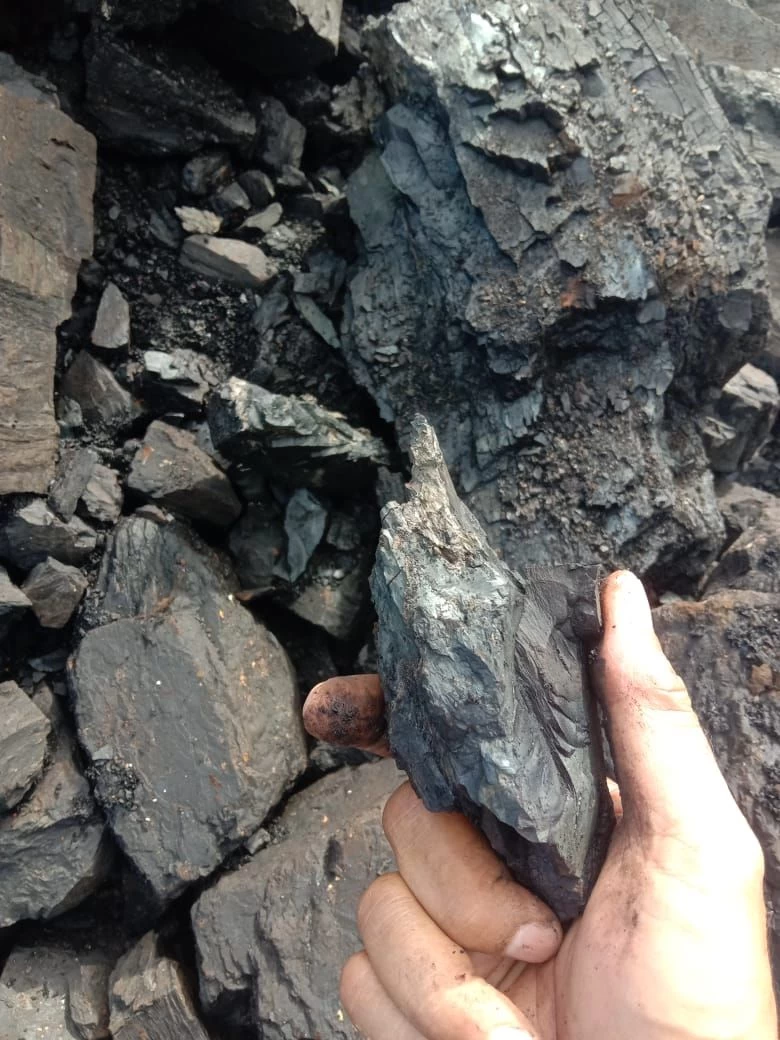 Buy Indonesia Steam Coal From Pt Berkah Buana Banua Indonesia