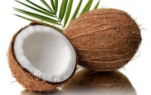 Semi Husked Coconut Pollachi Origin