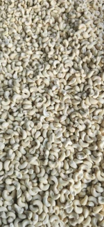 Cashew Nuts
