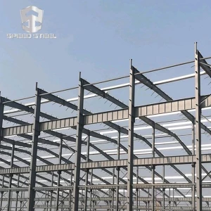 Crane Steel Structure