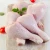 Import Grade A Frozen Chicken Feet And Paws from Norway