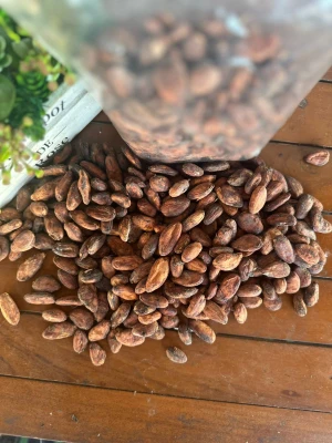 Grade A Indonesian Cocoa Beans: Premium Quality for Rich Chocolate