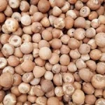 Fresh Betel Nut Seeds for Traditional Chewing and Herbal Use