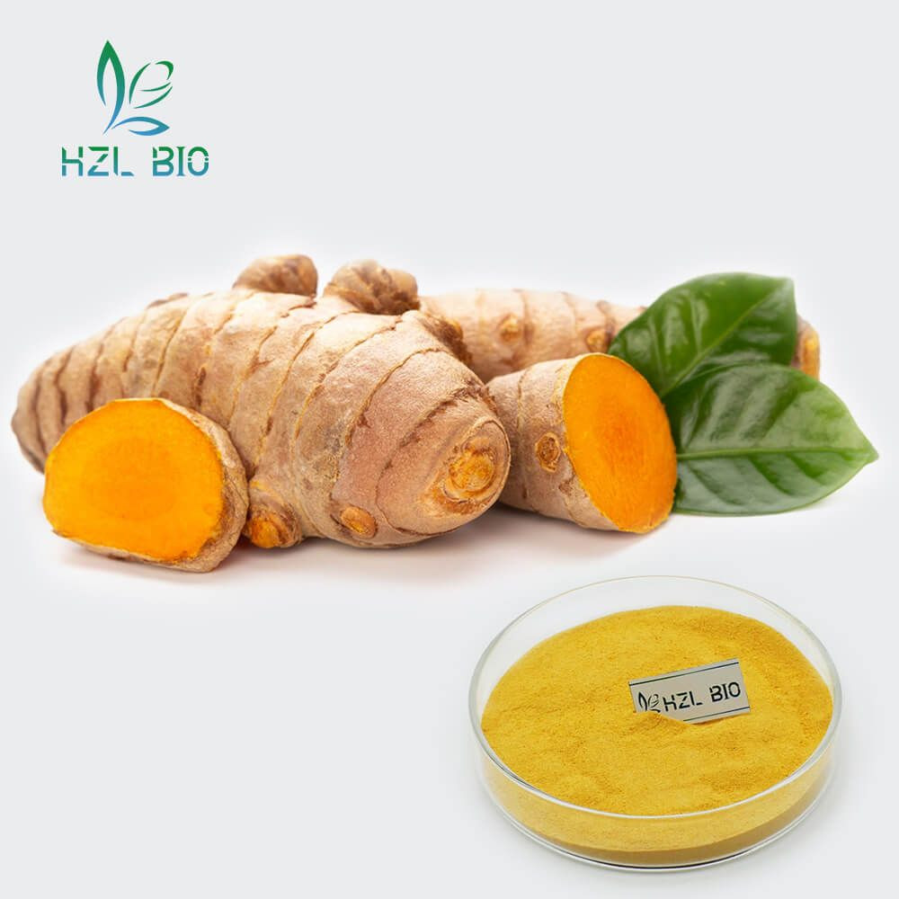 Buy Organic Curcumin Extract from Guangzhou HZL Biotech Co., Ltd ...