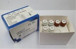 LabGun™ COVID-19 Assay PCR Kit