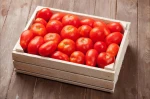 fresh tomatoes