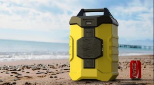 portable cooler box with speaker