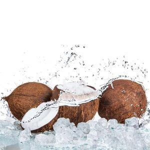 Frozen Coconuts