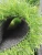 Import Best 10 millimeter,15mm,20mm,25mm and 35mm Artificial Turf Grass Fibrillated grass for tennis/football from China