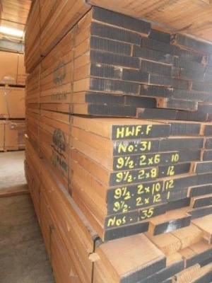 padouk wood logs for sale