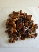 Premium Deglet Nour Dates on Branch