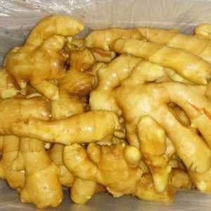 Ginger Fresh Ginger Export High Quality New Crop in Carton for Wholesale Fresh Ginger