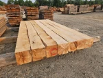 Longleaf Pine Logs Wholesale Fast Delivery Lumber Supply